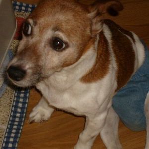 Meet your Posher, Edward